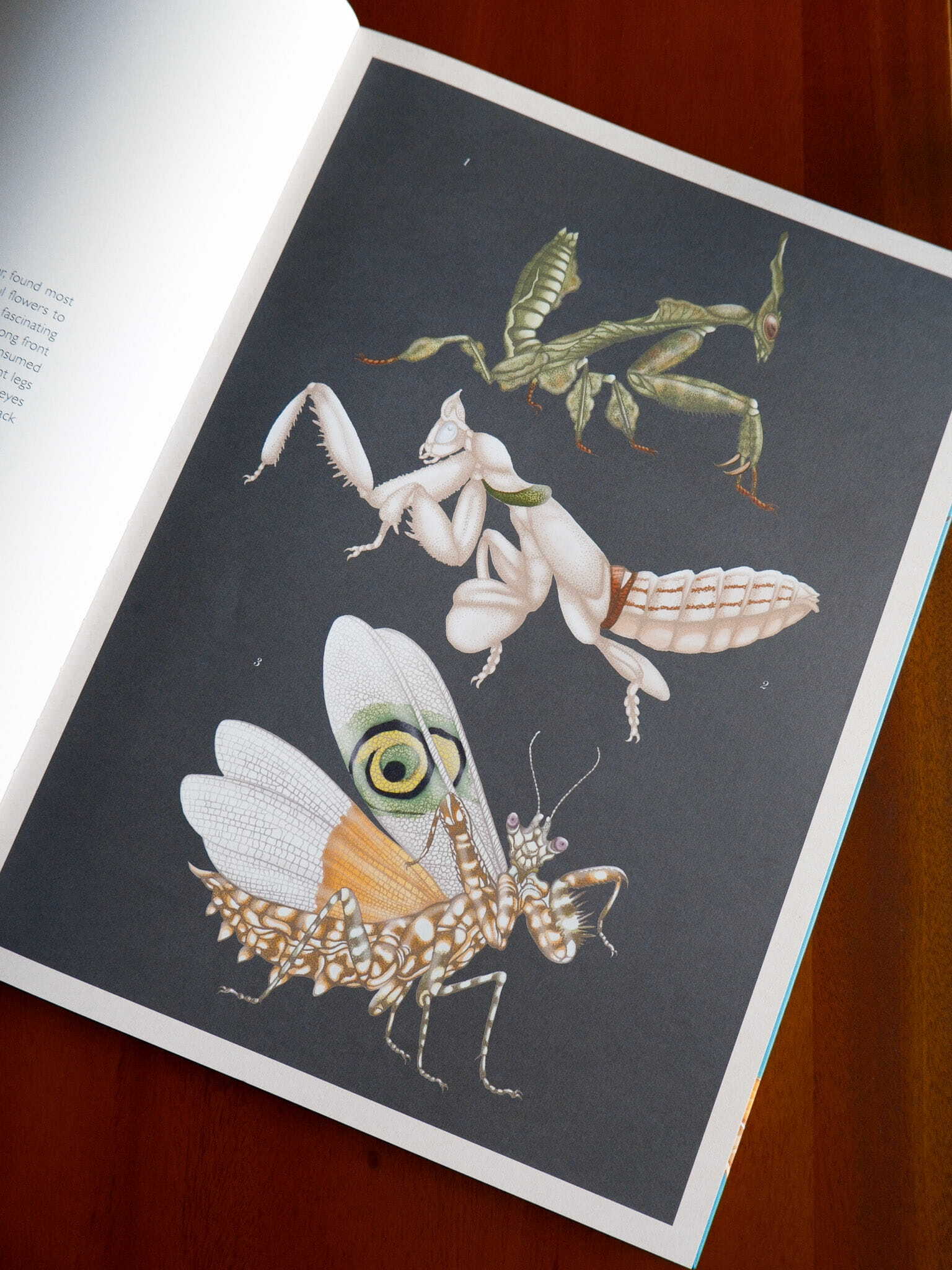 Insectarium 4