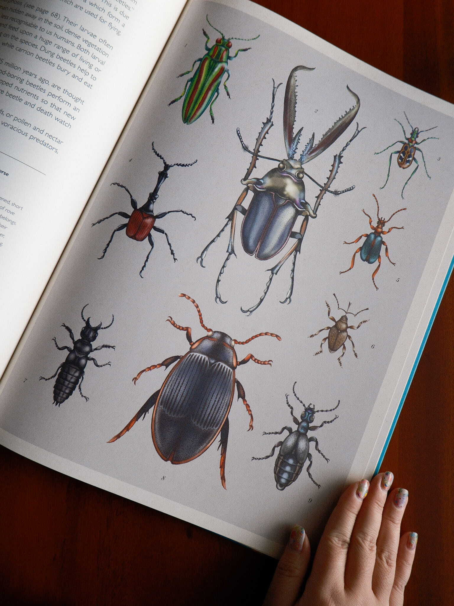 Insectarium 8