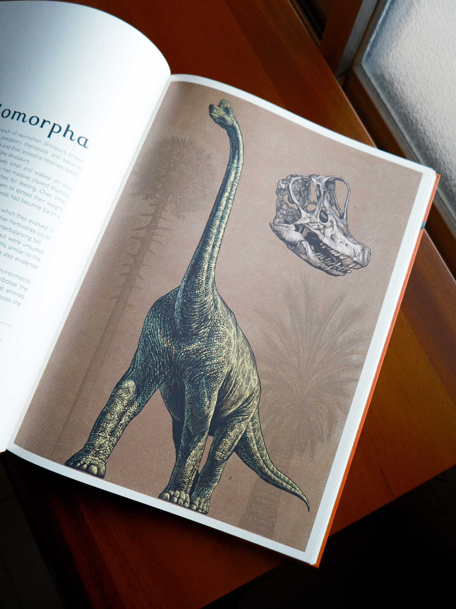 Dinosaurium 2