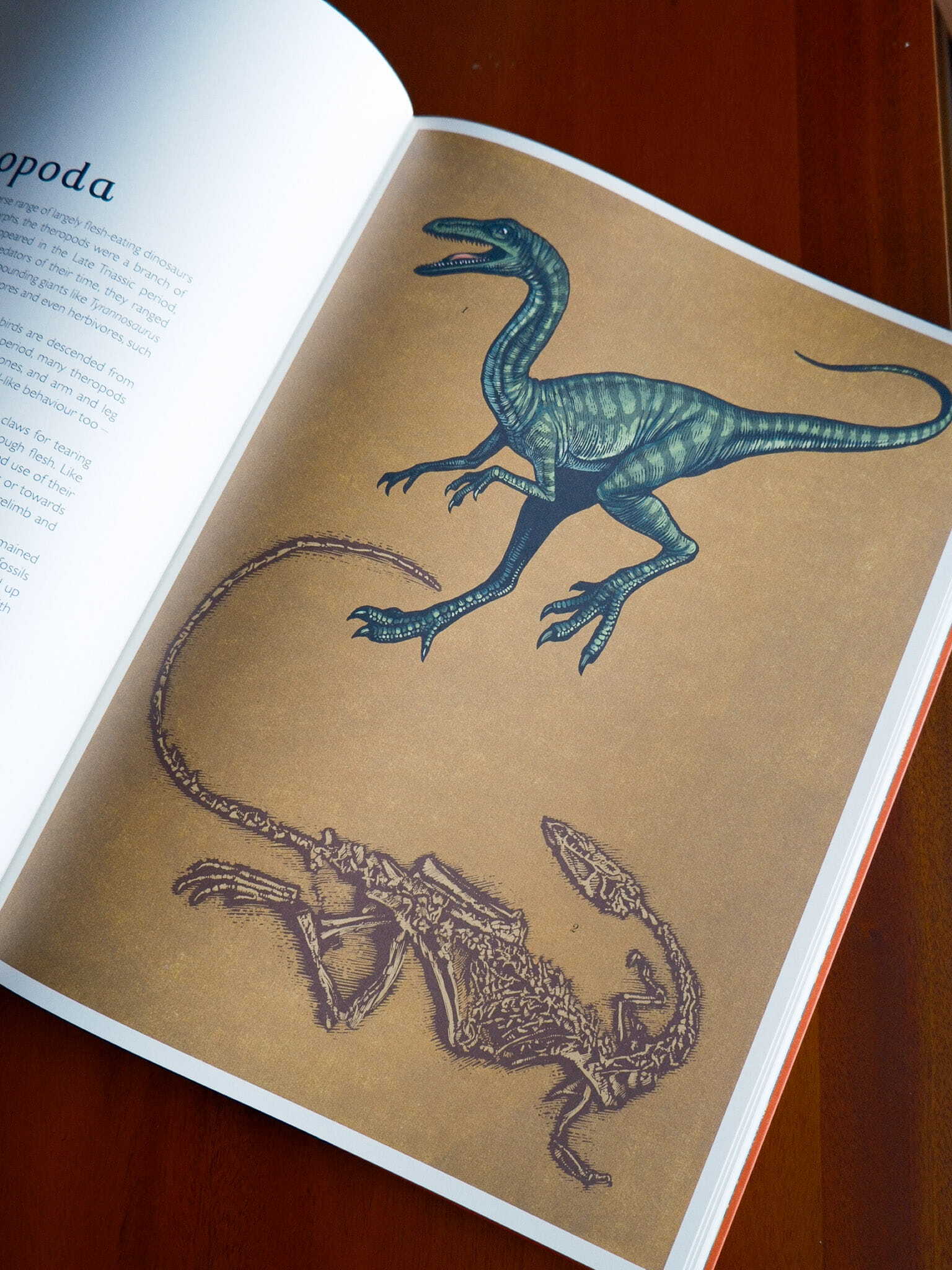 Dinosaurium 4