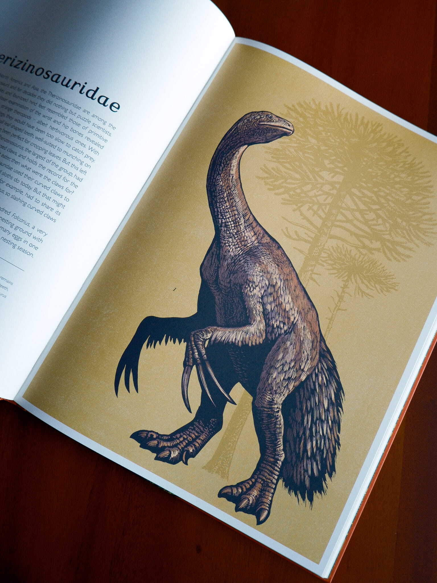 Dinosaurium 7