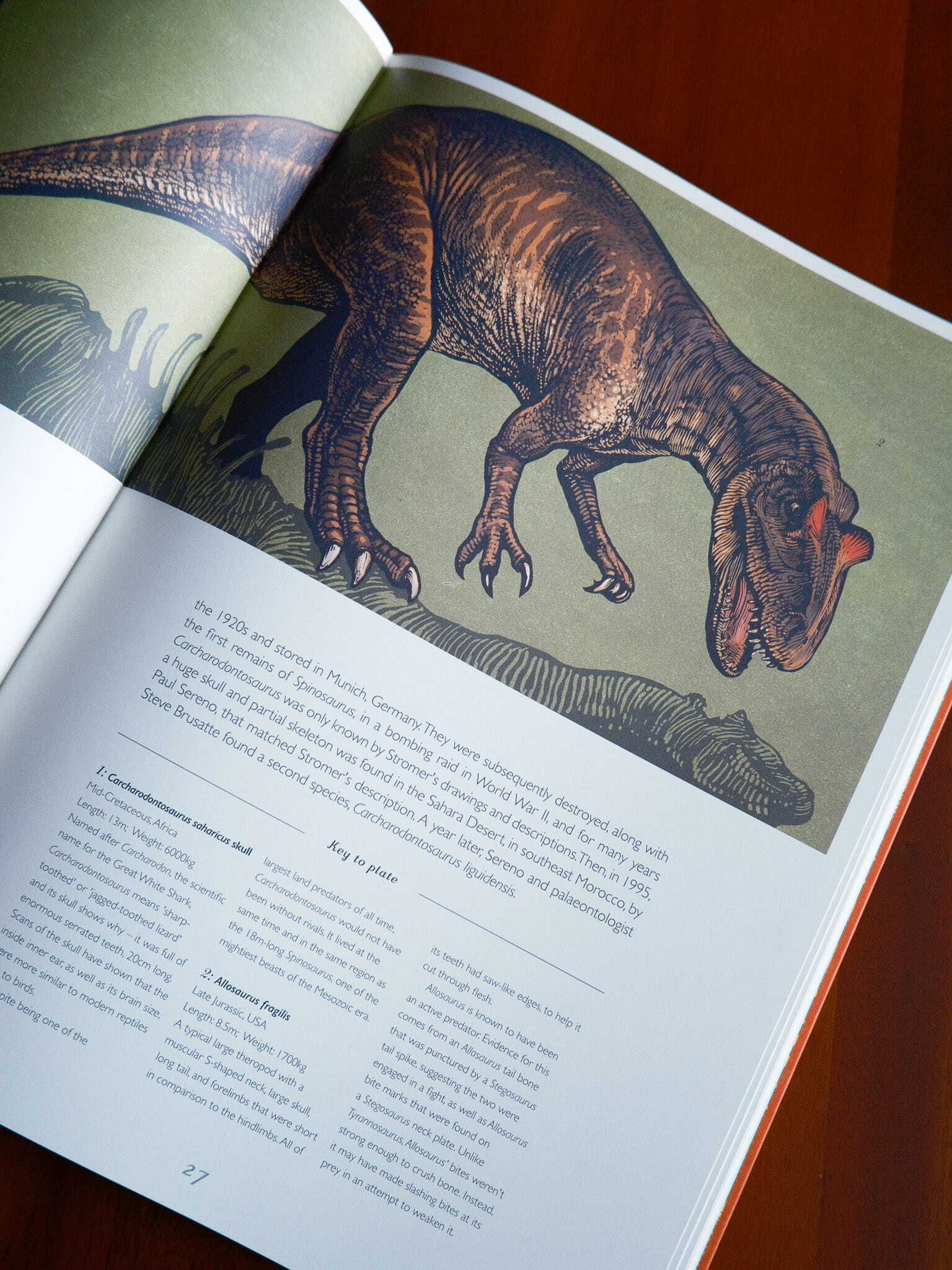 Dinosaurium 5