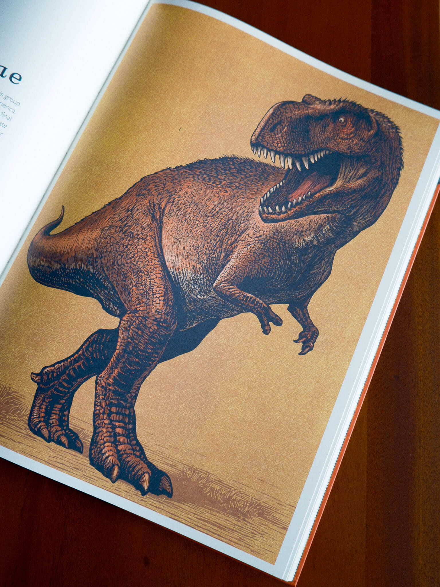 Dinosaurium 6