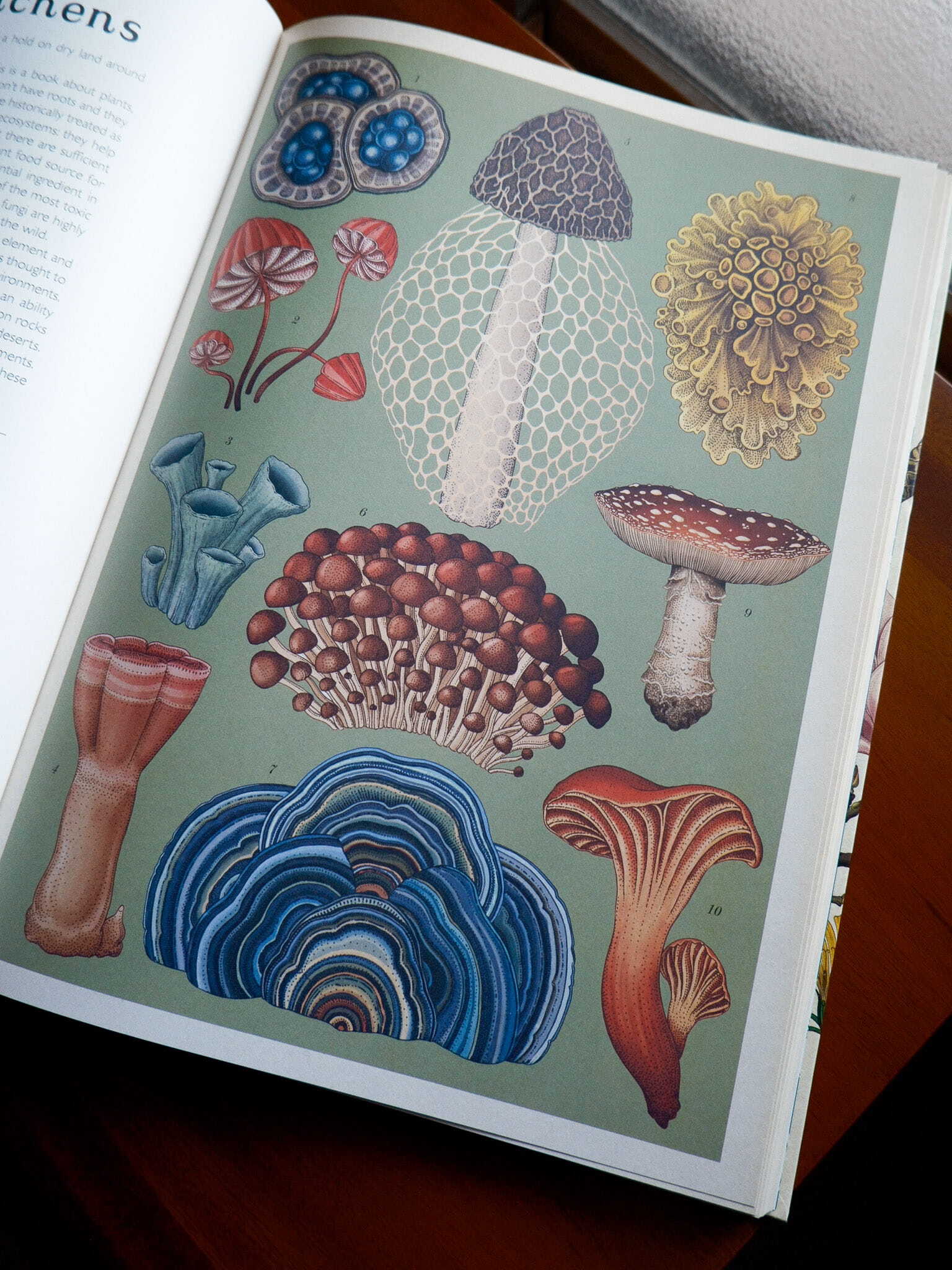 Botanicum 4