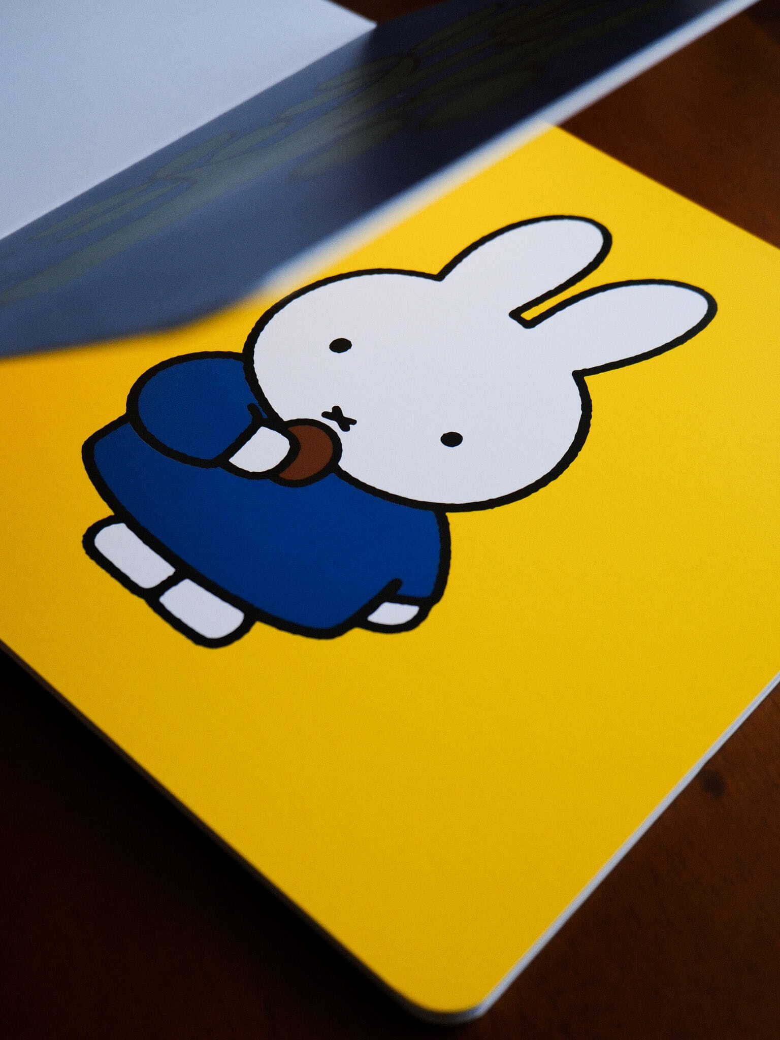 Miffy's Colors 6