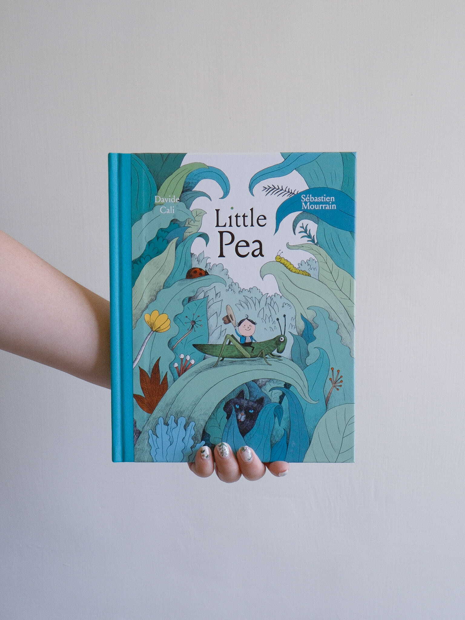 Little Pea 1