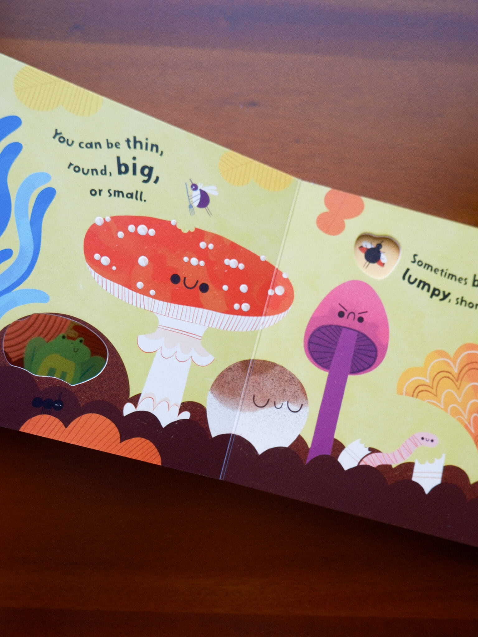Fungi Friends 5