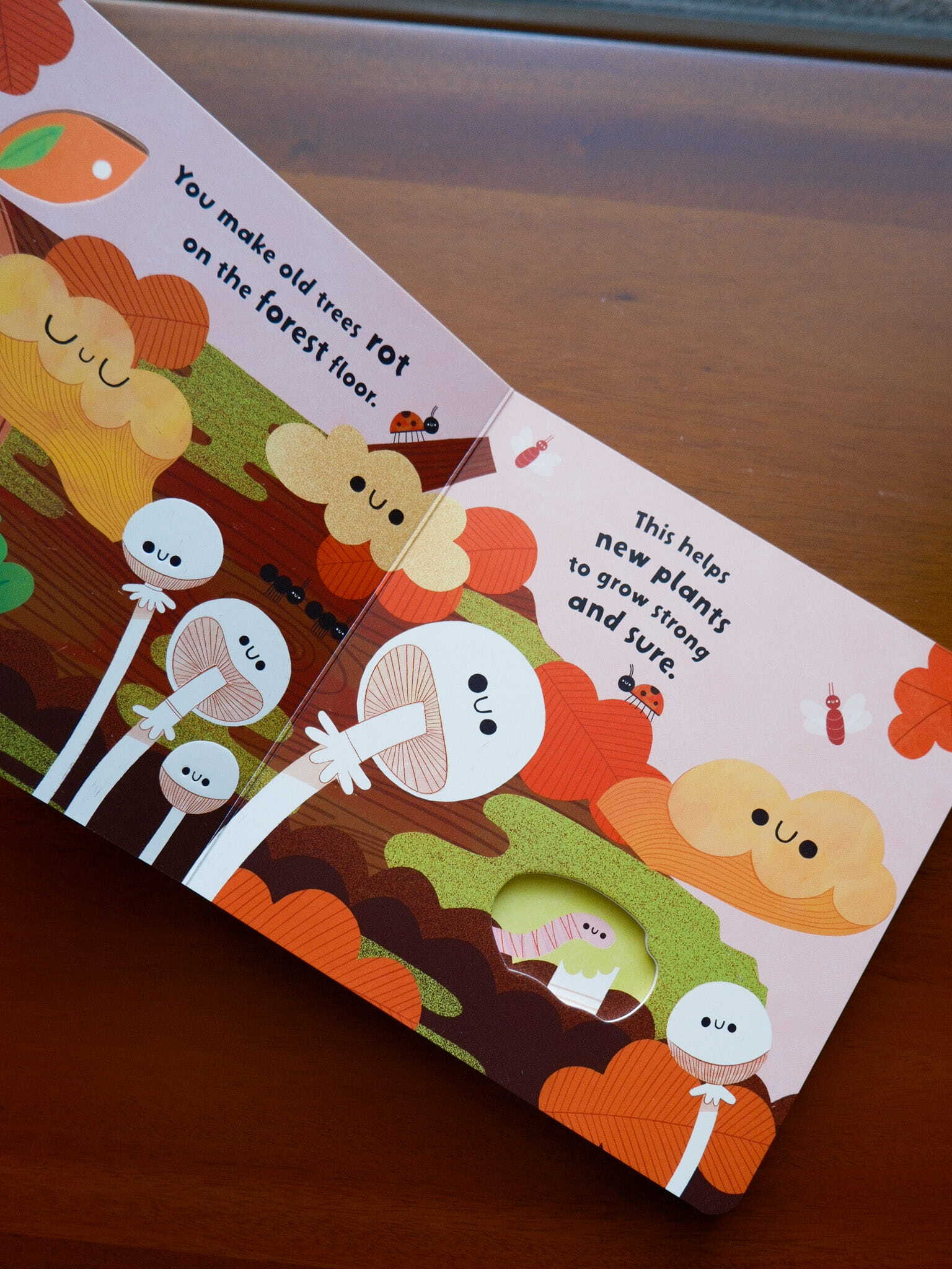 Fungi Friends 4