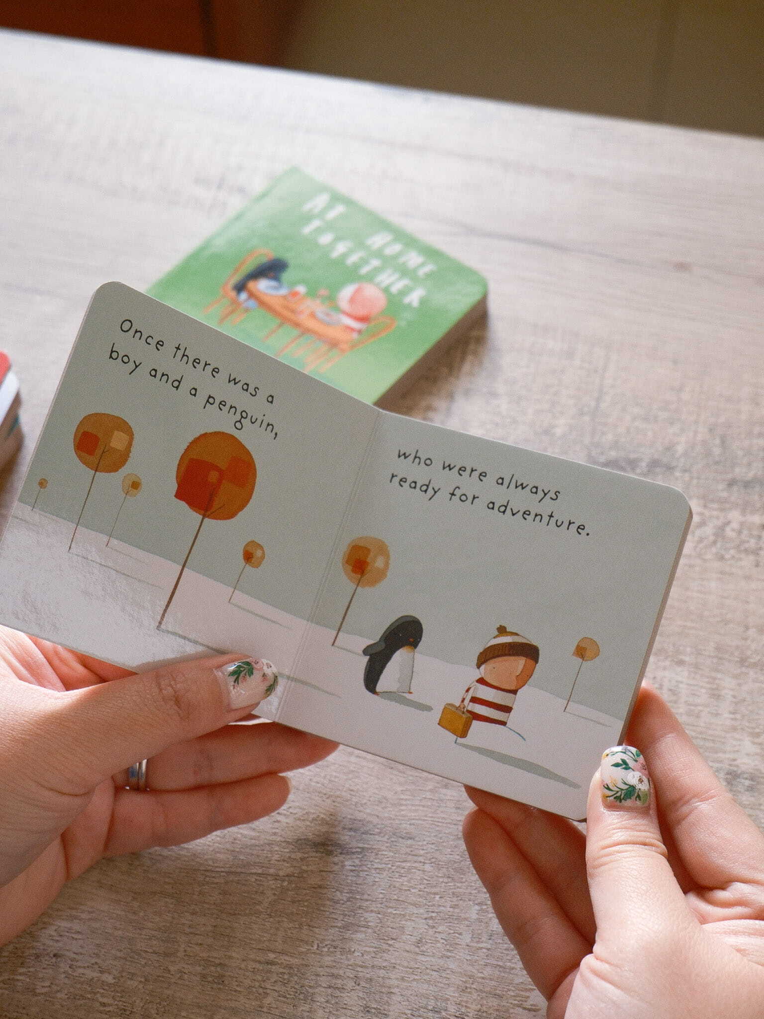 The Boy and Penguin Little Library 8