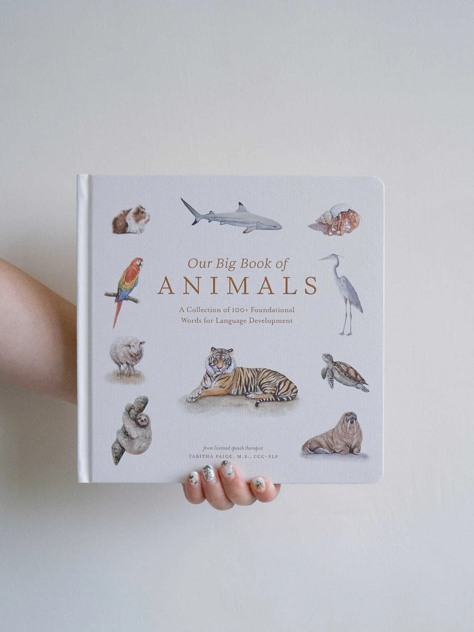 Our Big Book of Animals 1