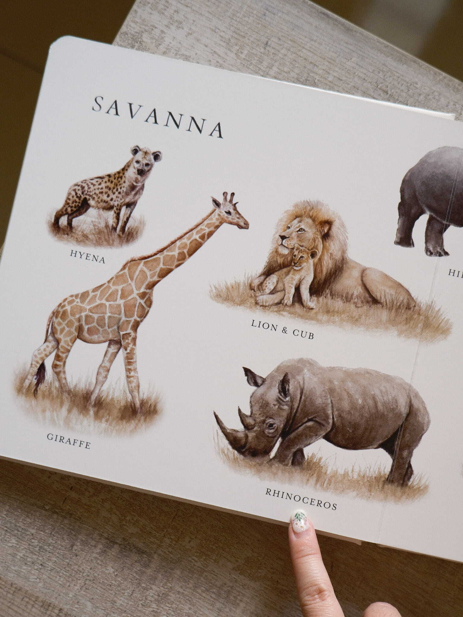 Our Big Book of Animals 4