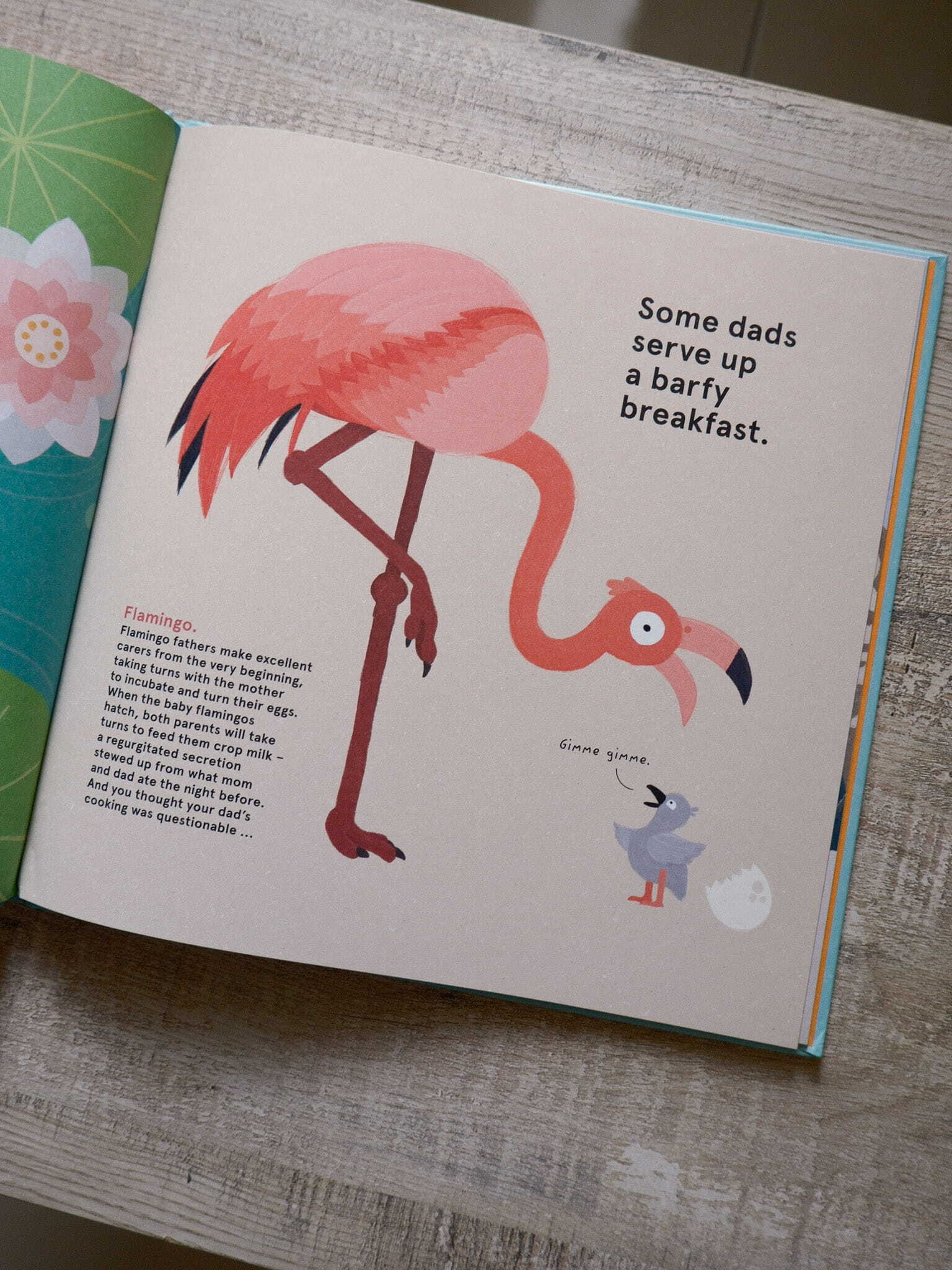 Wild about Dads 6