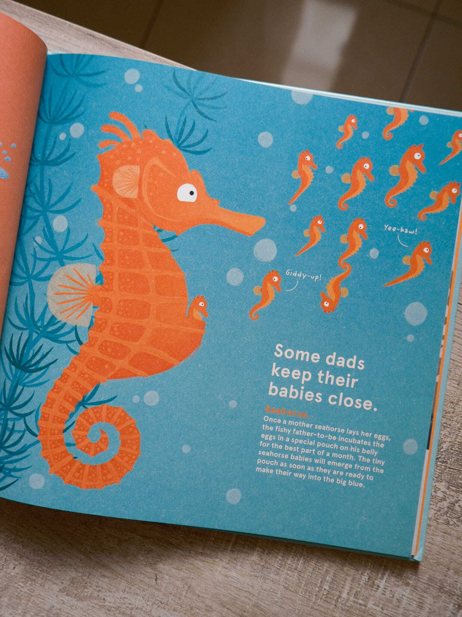 Wild about Dads 3