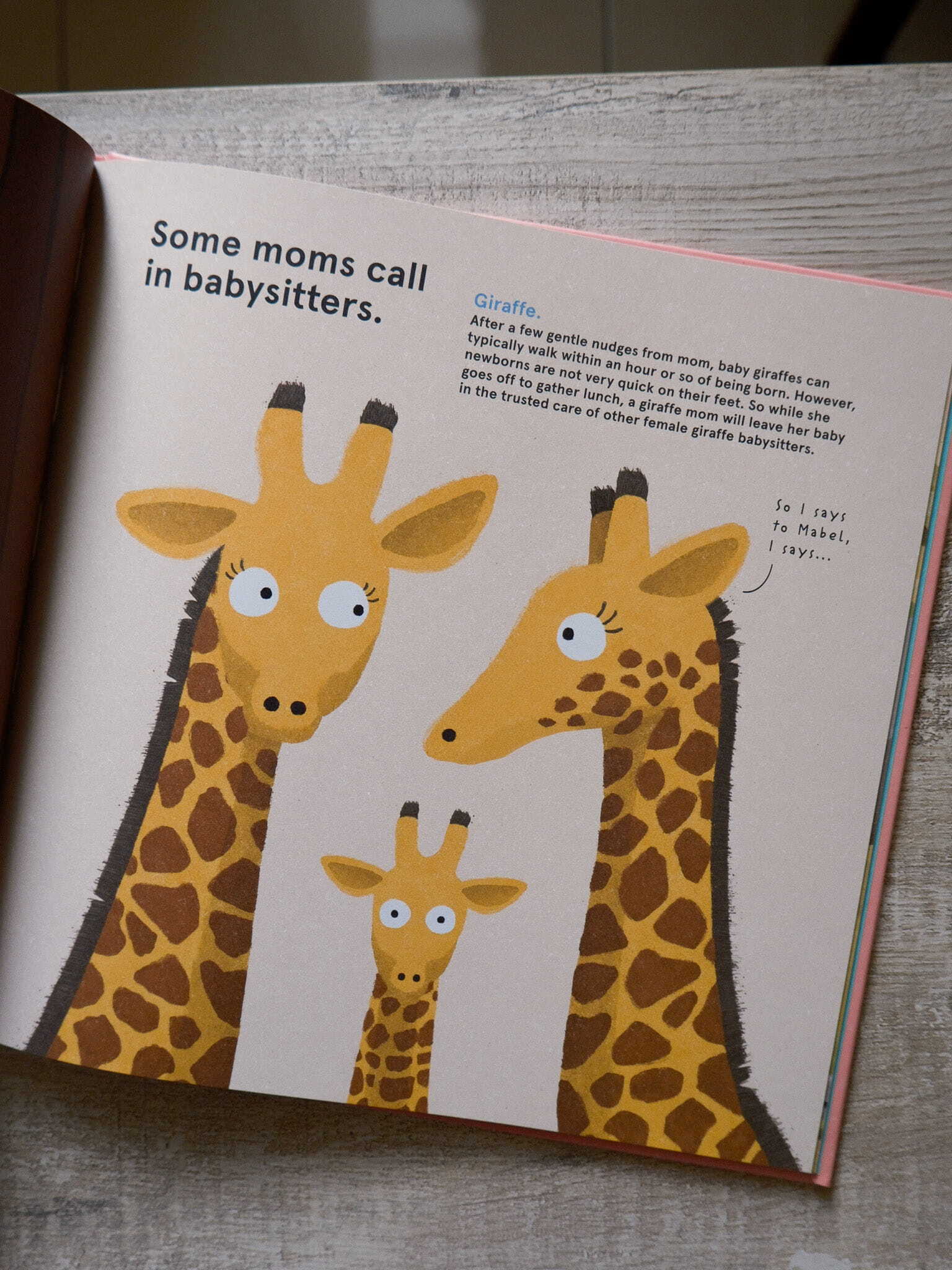 Wild about Moms 5