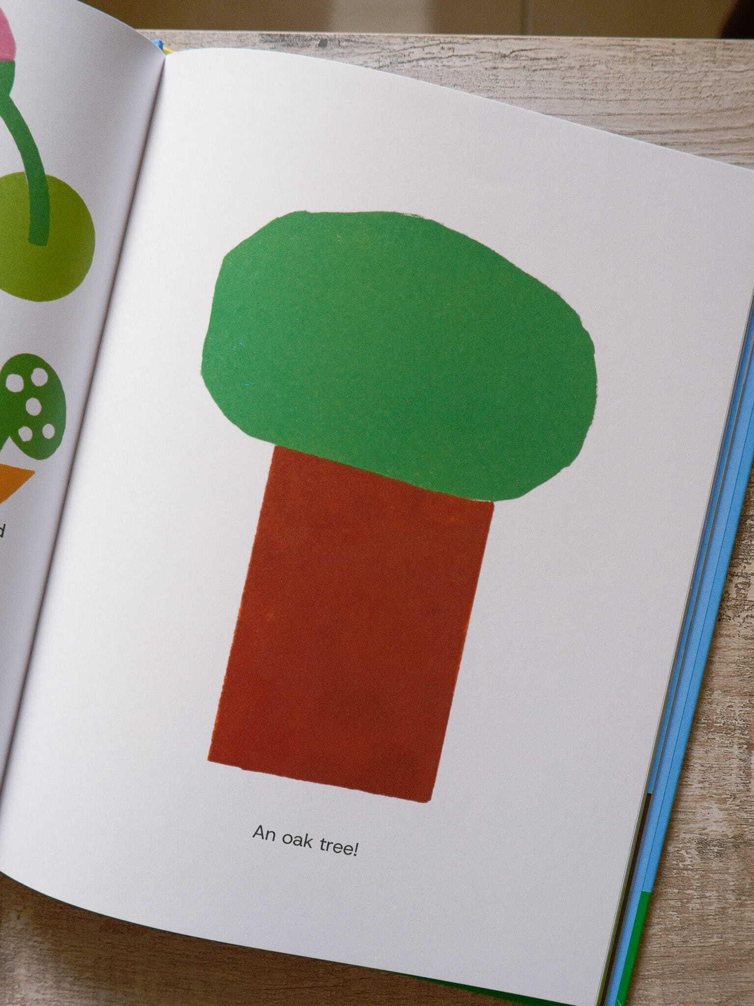 If I Were a Plant 5