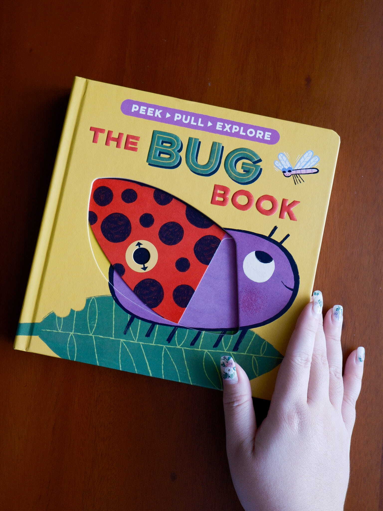 The Bug Book 1