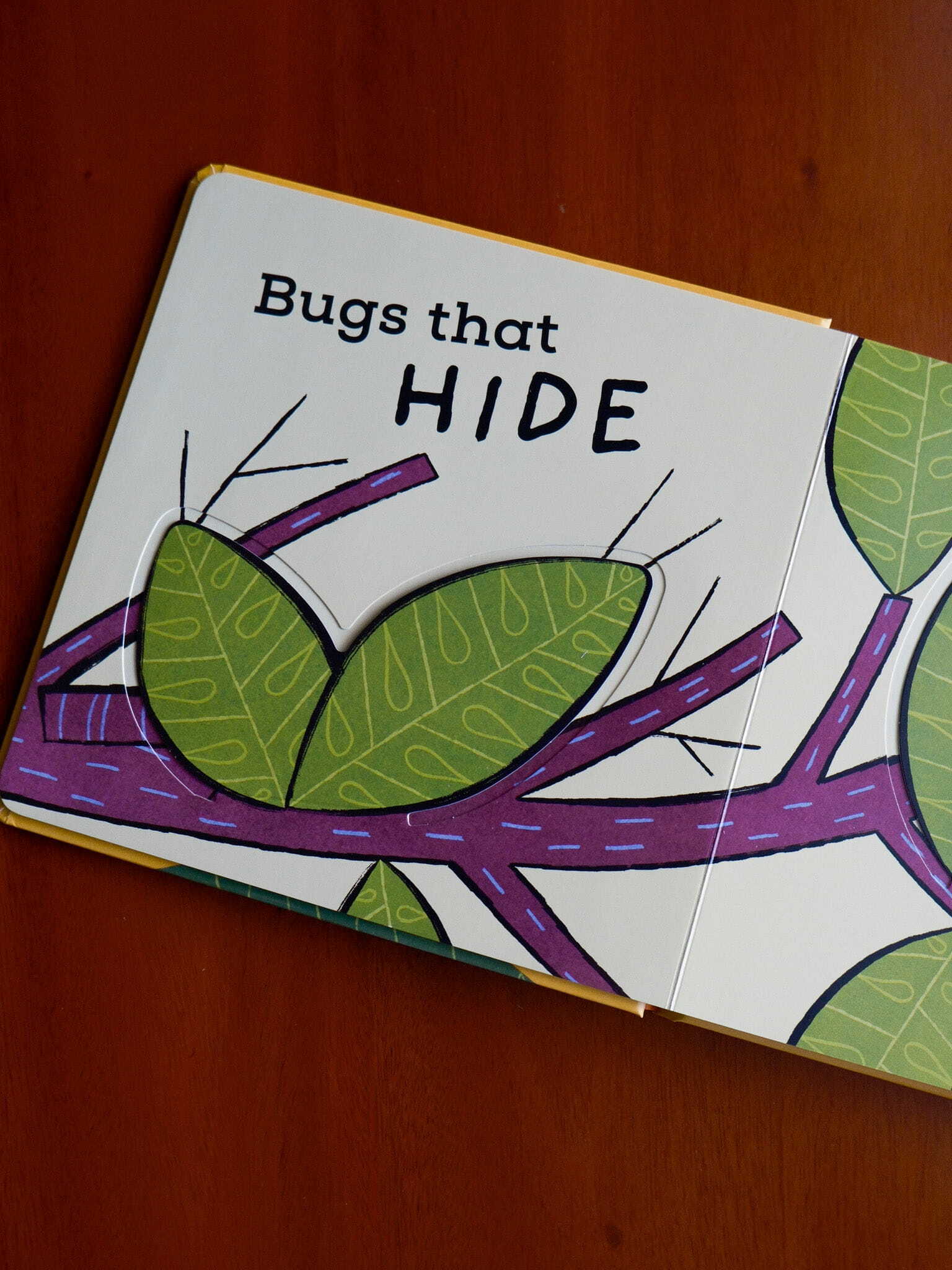 The Bug Book 2