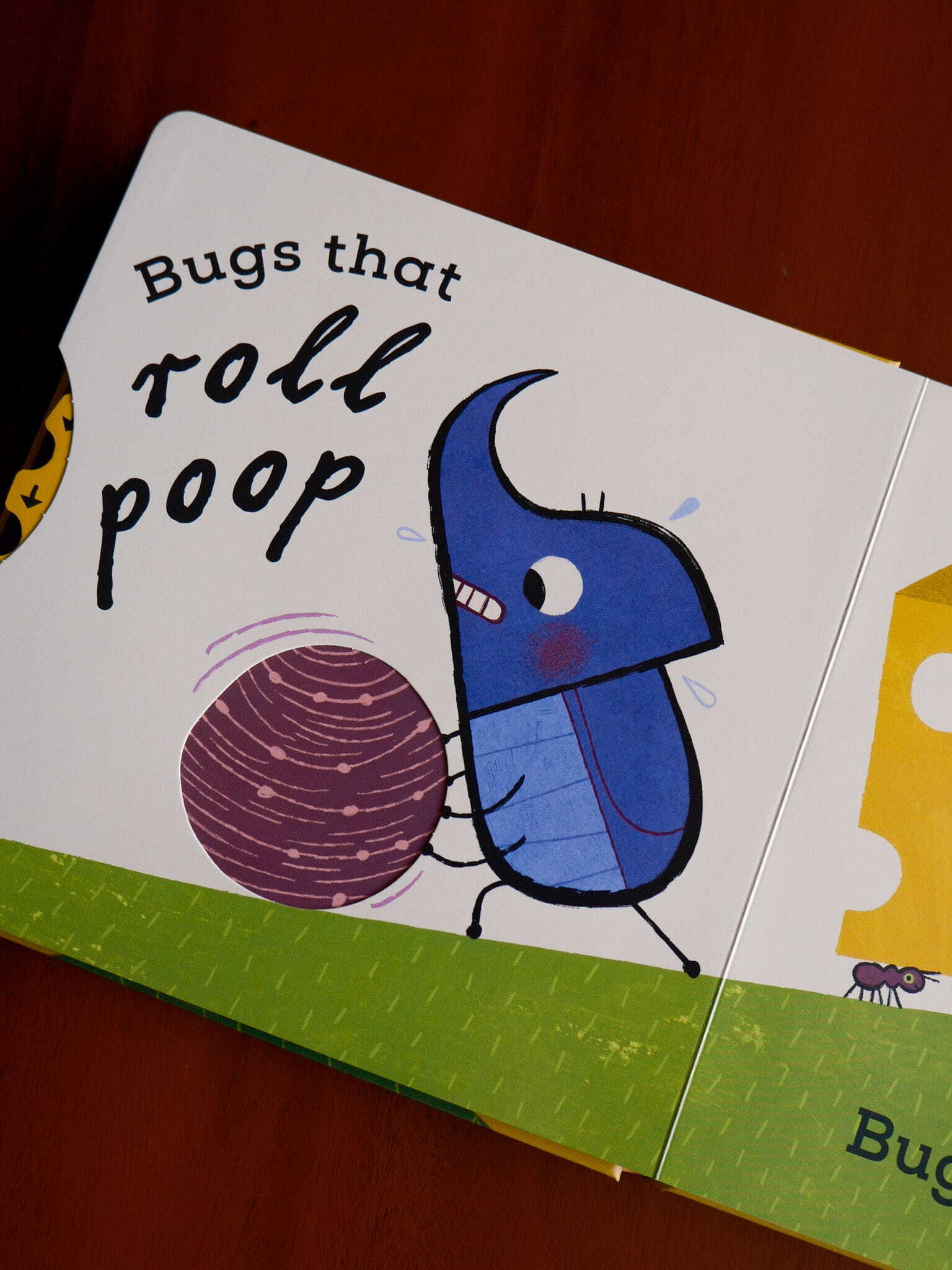The Bug Book 6