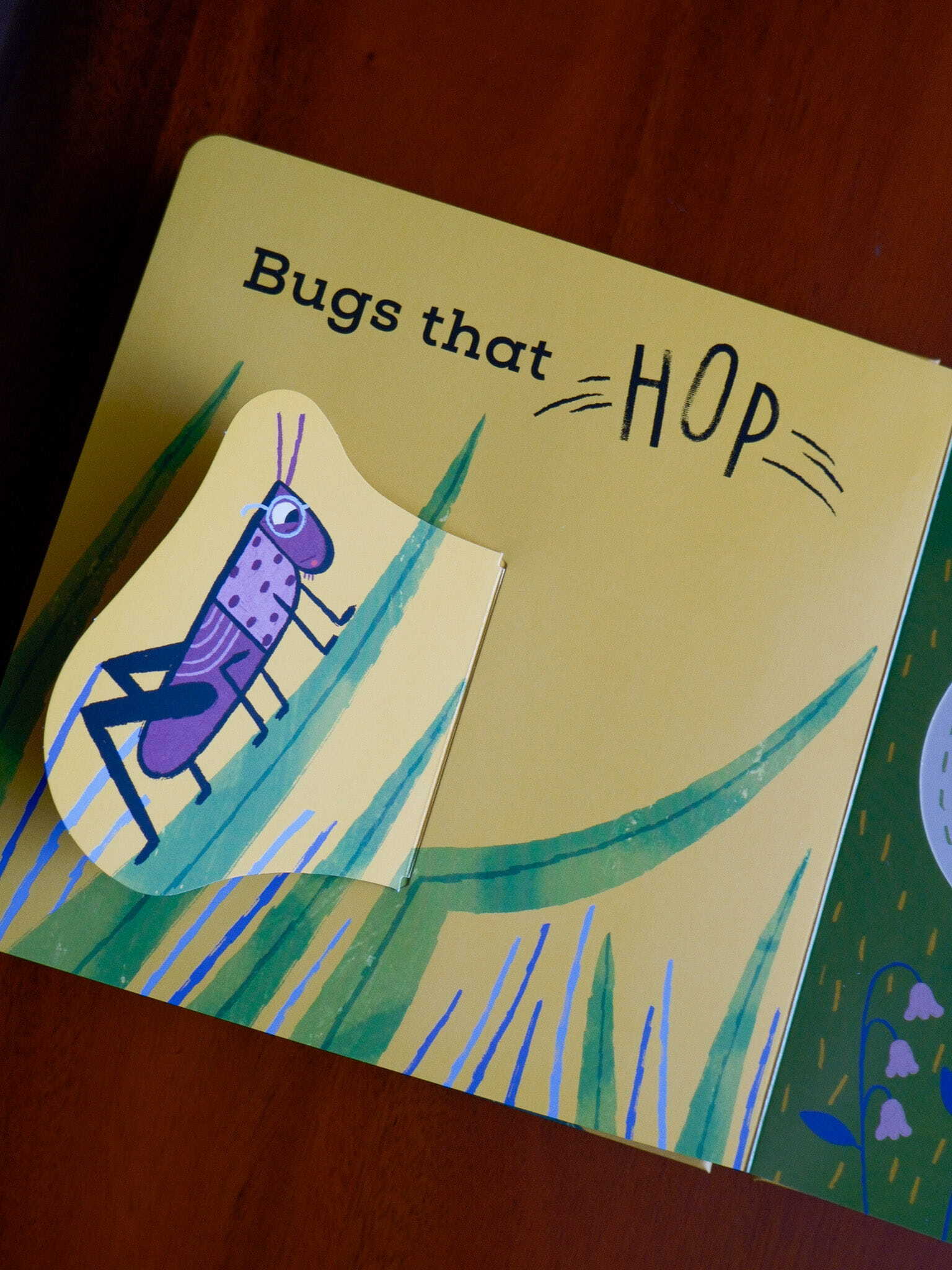 The Bug Book 7