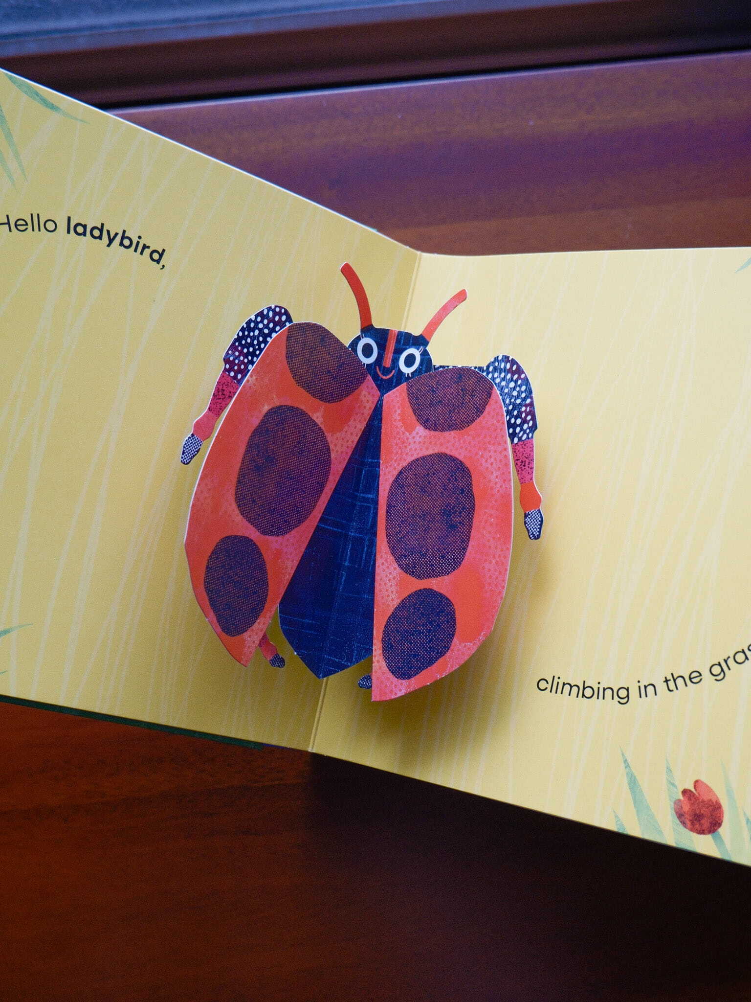 Bugs 3