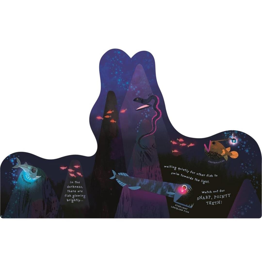 Animal Homes Ocean 2