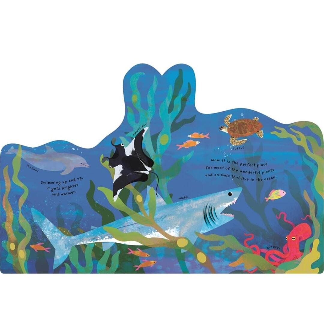 Animal Homes Ocean 3