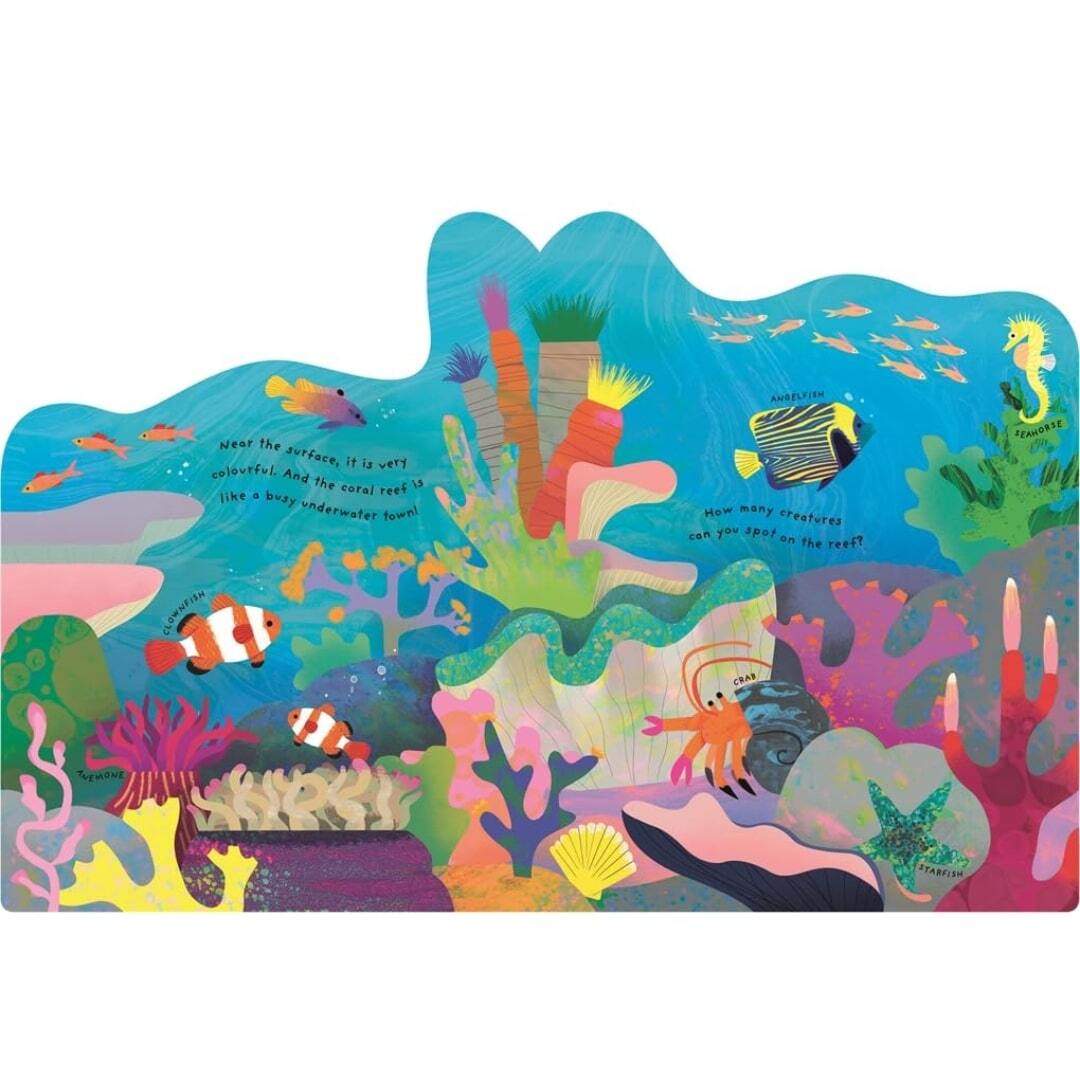 Animal Homes Ocean 4