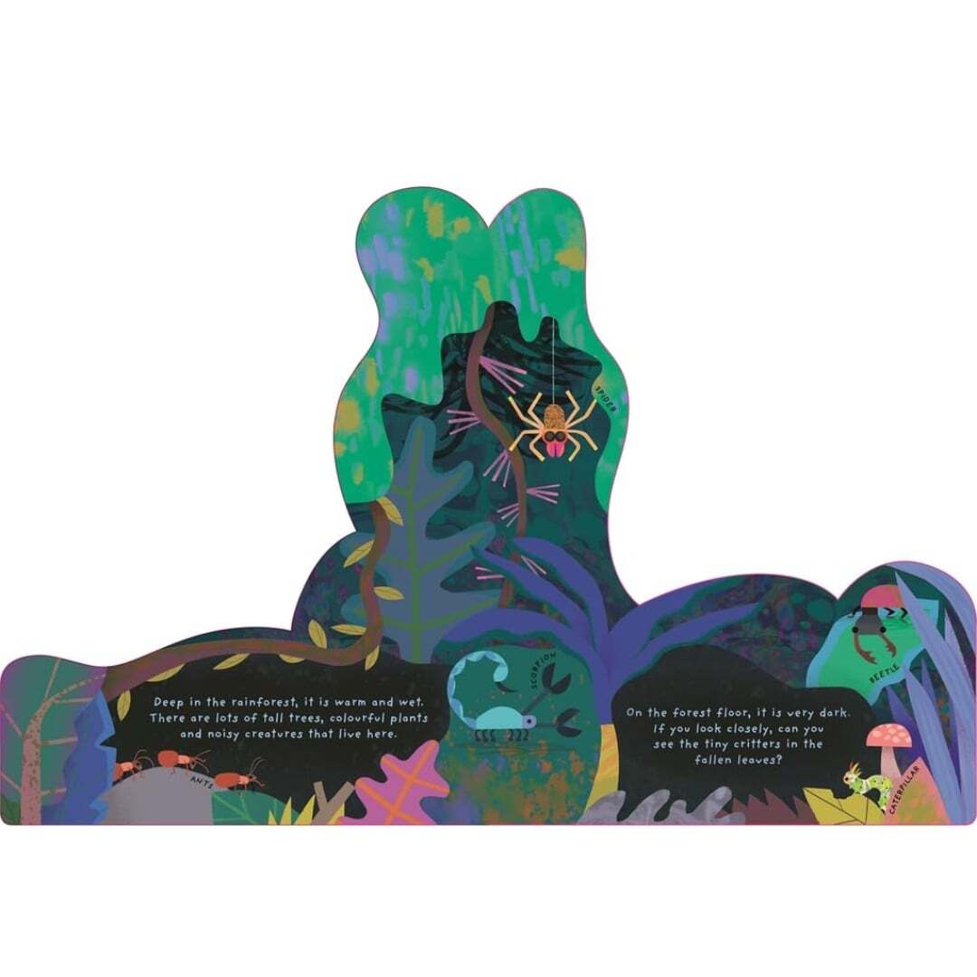 Animal Homes Rainforest 2