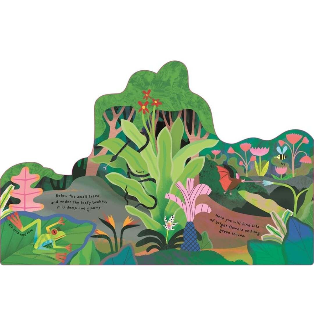 Animal Homes Rainforest 3