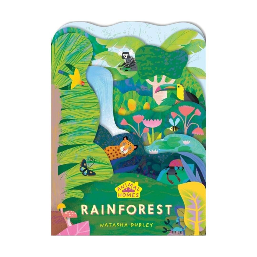 Animal Homes Rainforest 1