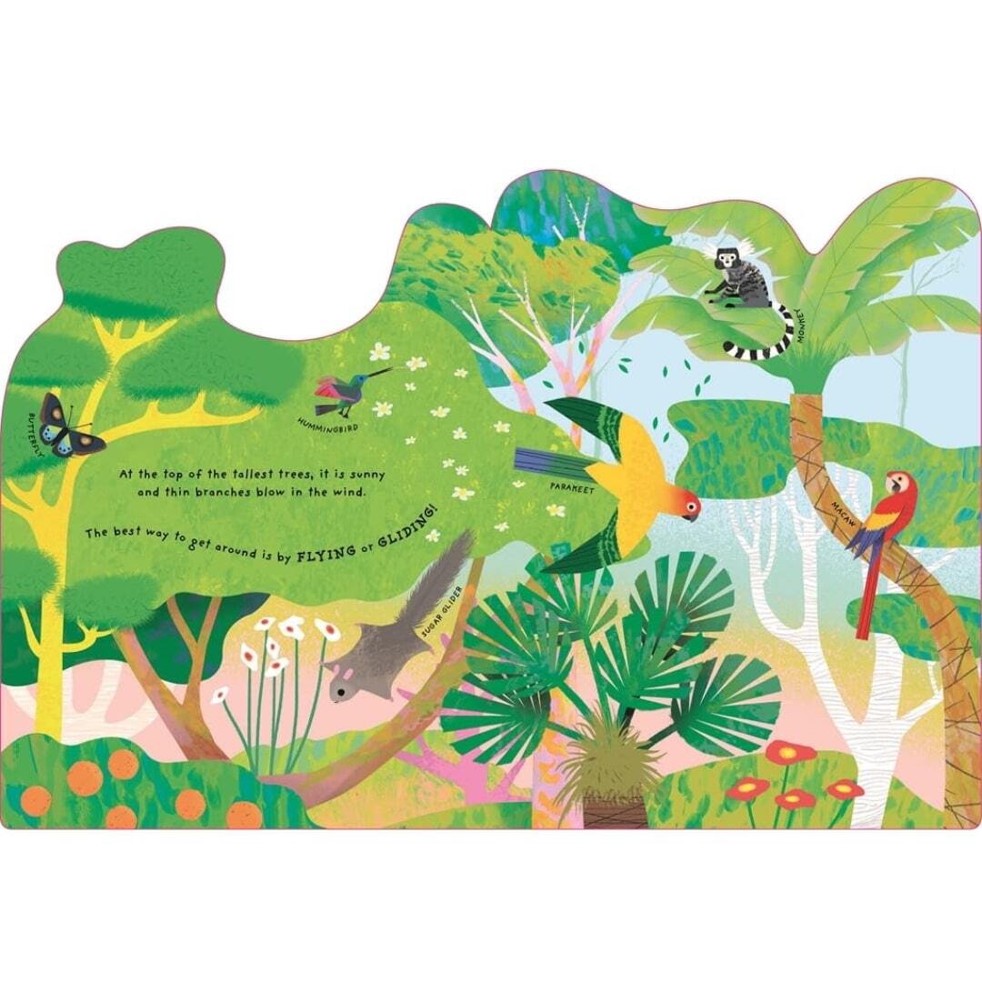 Animal Homes Rainforest 4