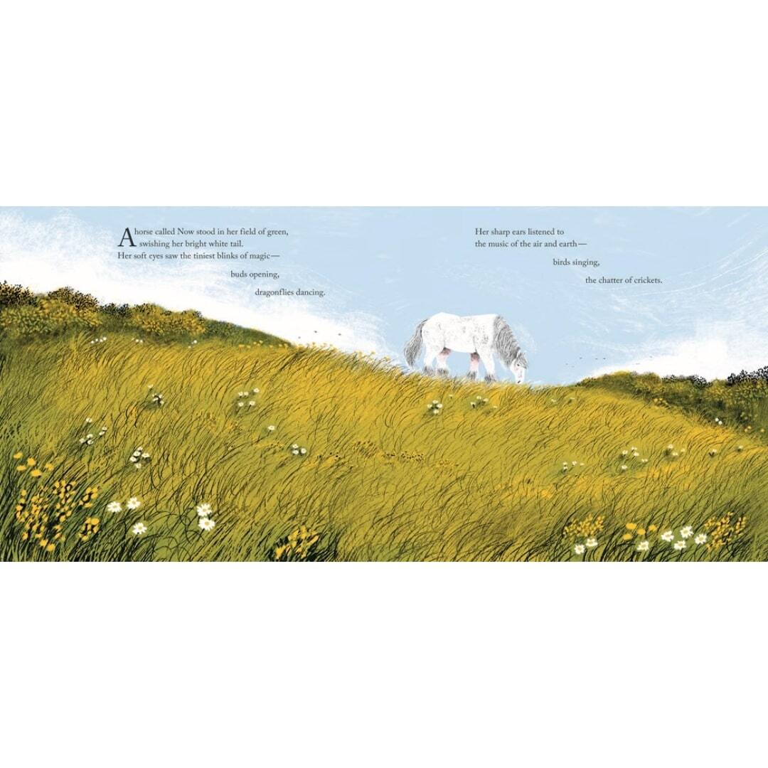 A Horse Called Now 4