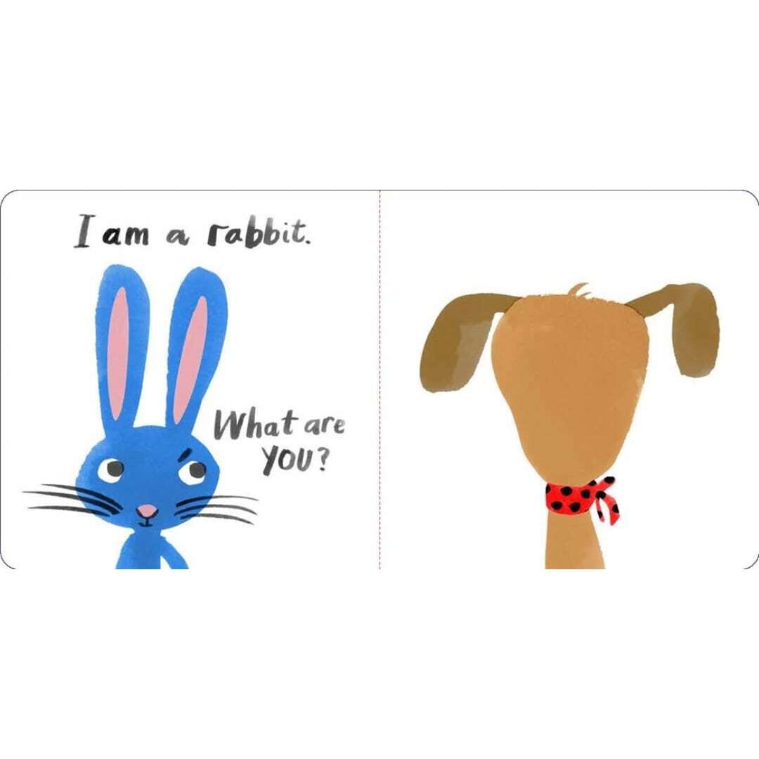 Let's Look at... Animals 3