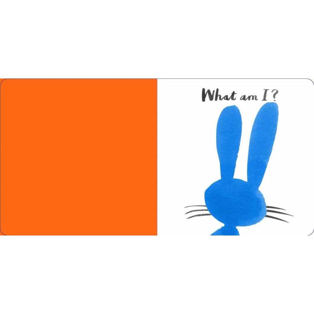 Let's Look at... Animals 2