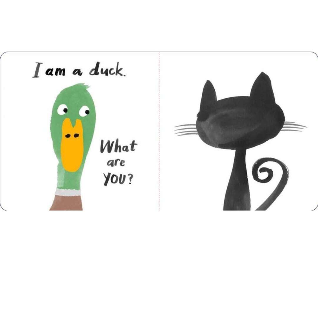 Let's Look at... Animals 4