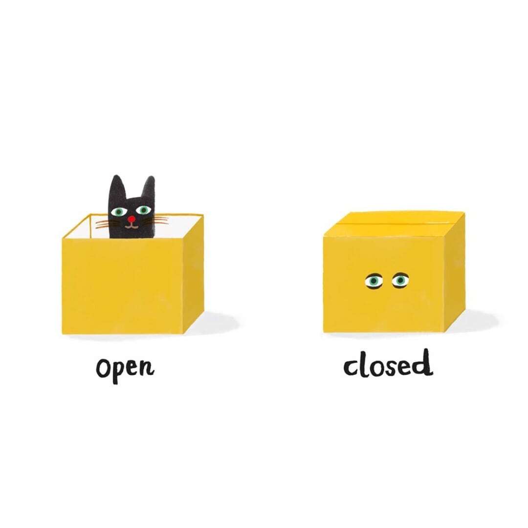 Let's Look at... Opposites 4