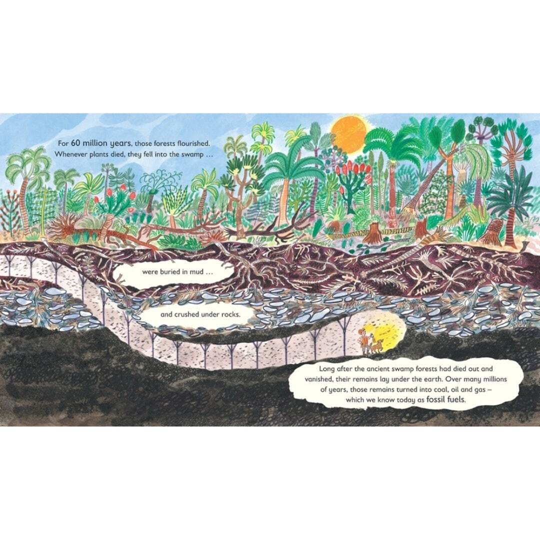 Green - The Story of Plant Life on Our Planet 3