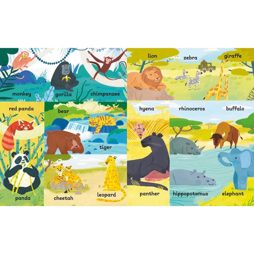 100 First Words Exploring Animals 2