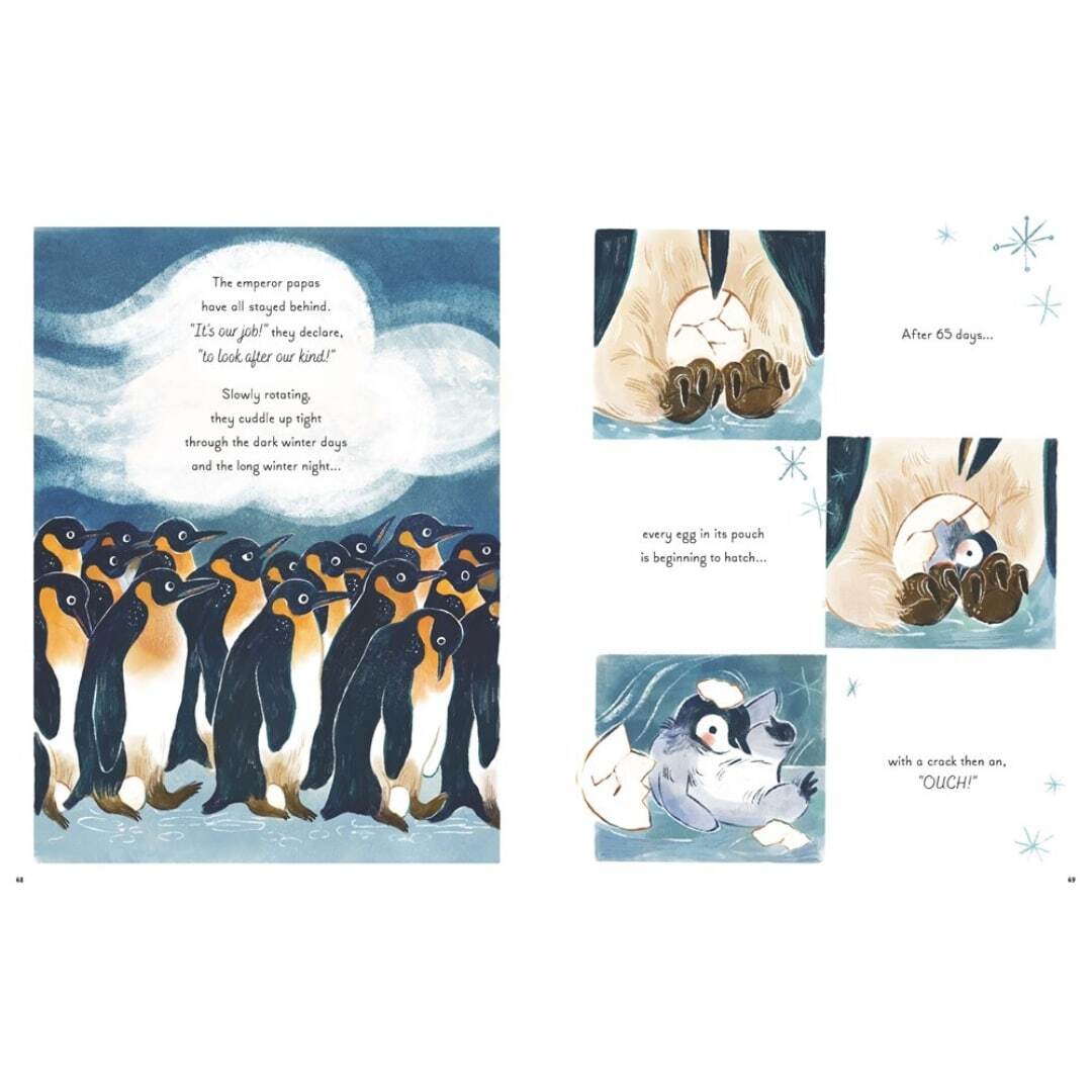 5 Minute Ocean Stories 3