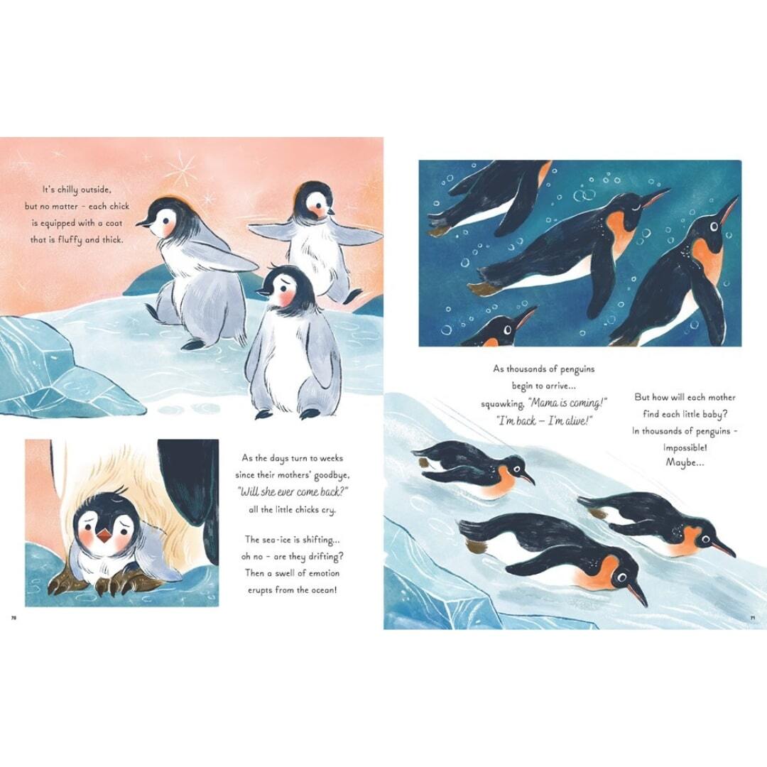 5 Minute Ocean Stories 4