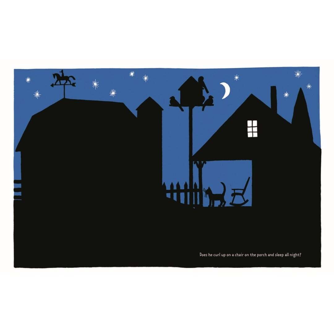 The Cat at Night 2