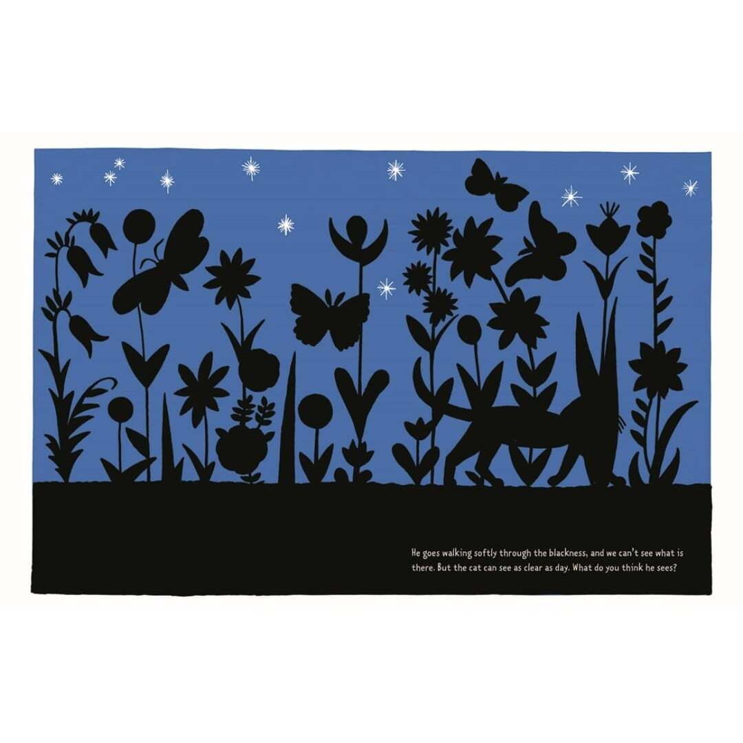 The Cat at Night 4