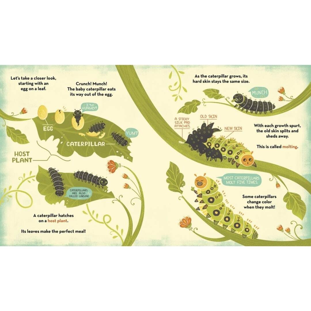 What's Inside a Caterpillar Cocoon_ 2