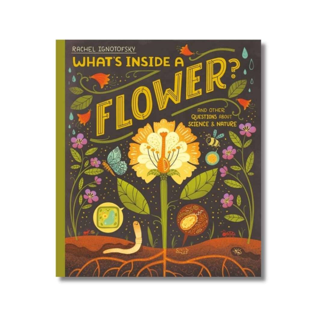 What's Inside a Flower_ 1