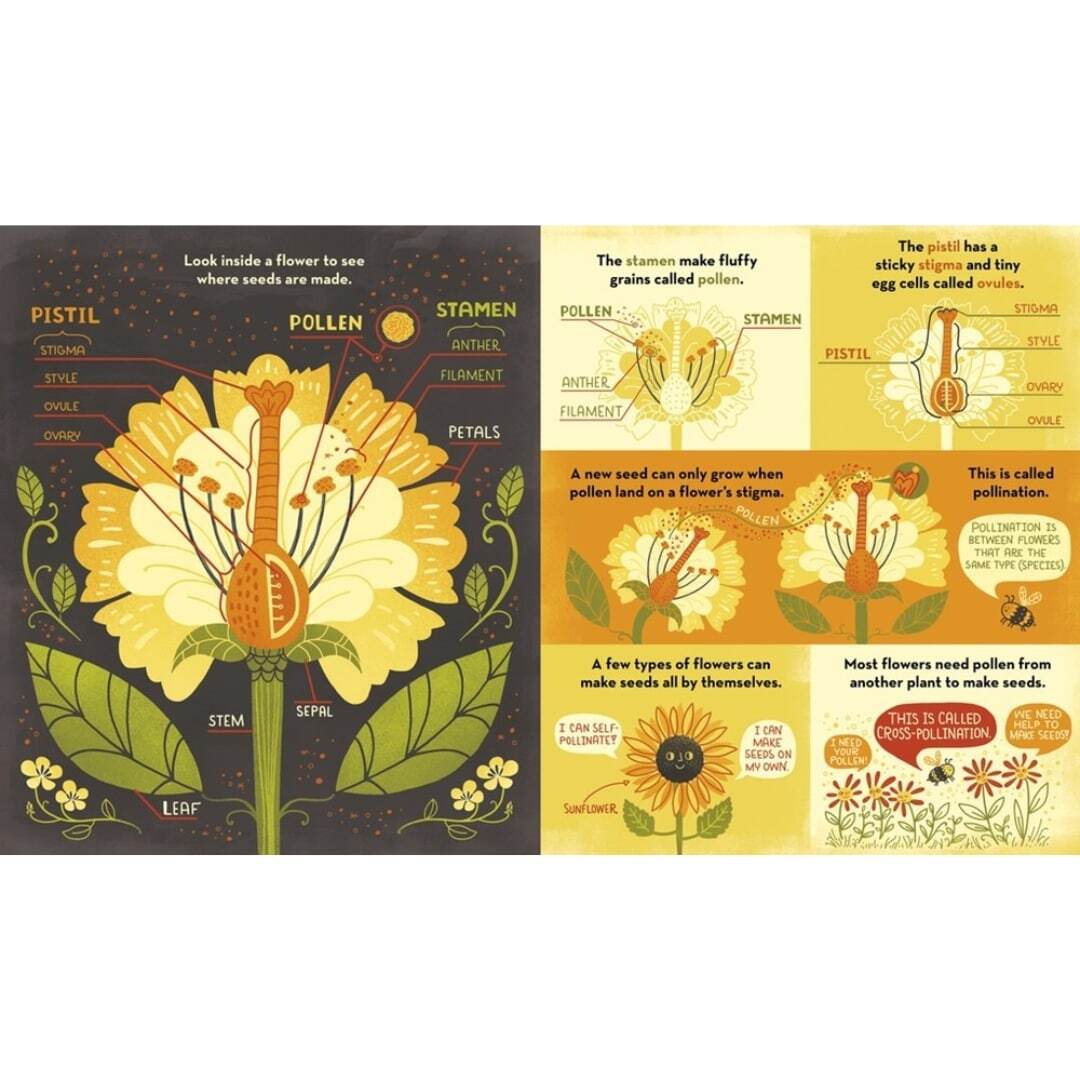 What's Inside a Flower_ 3