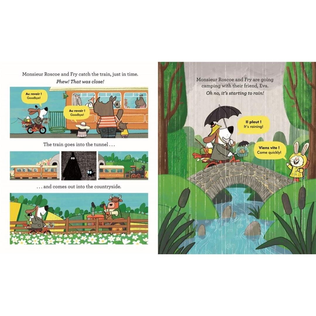 Monsieur Roscoe on Holiday 4