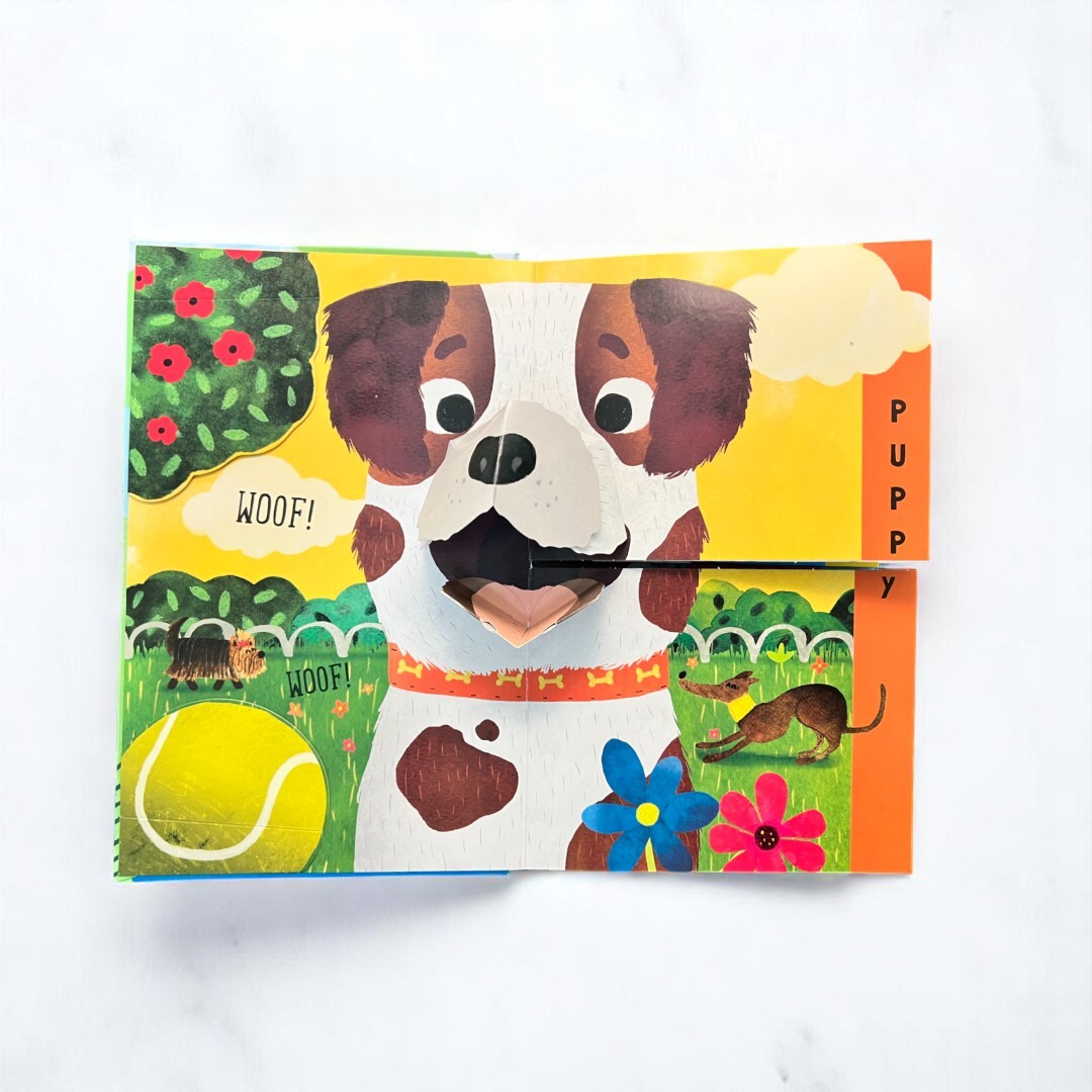 Flip Flap Snap Pets 2