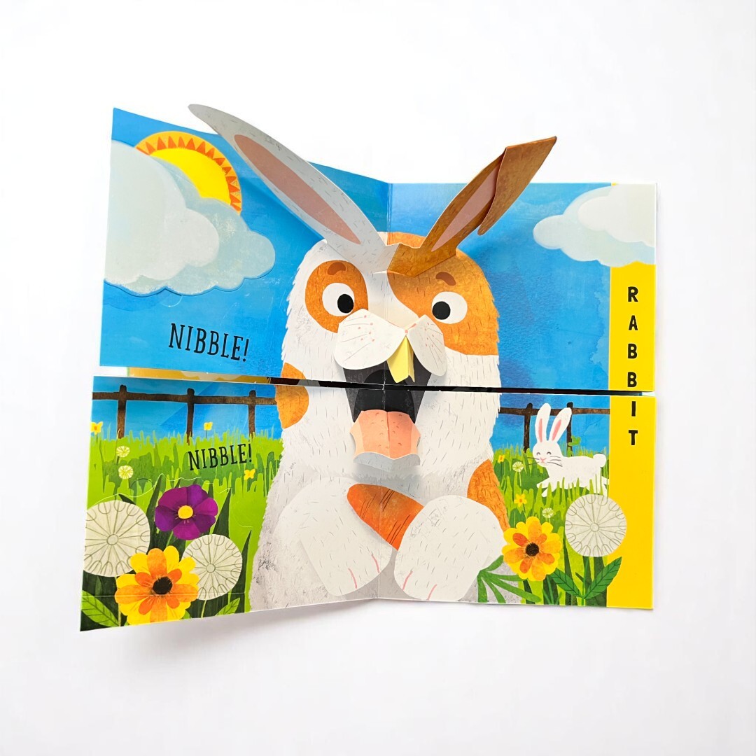Flip Flap Snap Pets 3