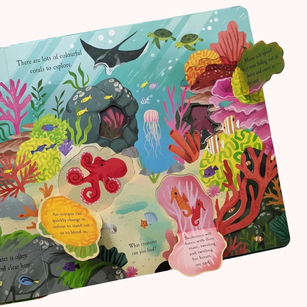 Let's Explore the Ocean 2