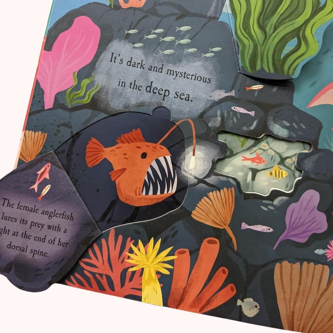 Let's Explore the Ocean 3